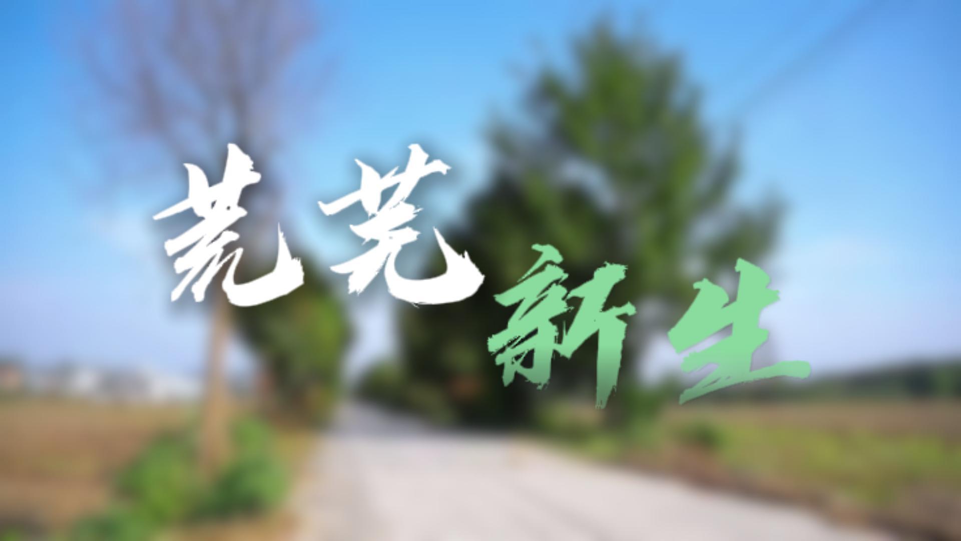 温情回访暖人心｜阜阳患者跨越千里致谢，专业守护重燃生活希望